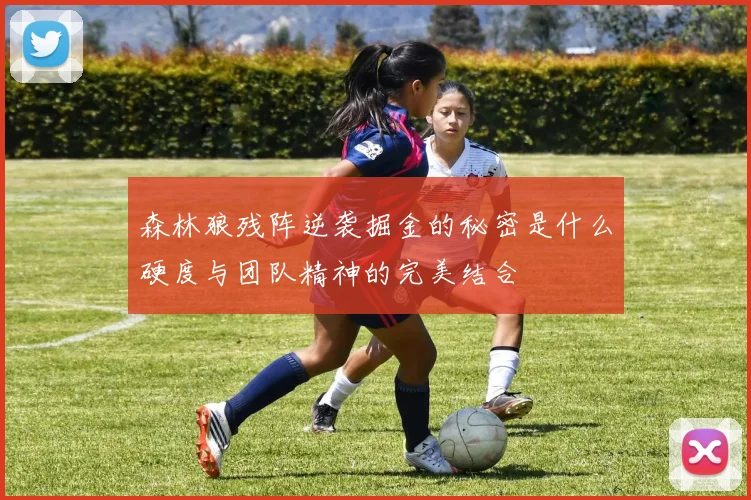 森林狼残阵逆袭掘金的秘密是什么硬度与团队精神的完美结合