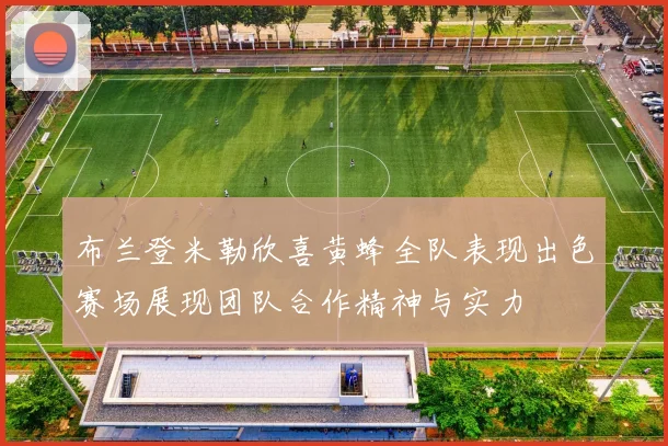 布兰登米勒欣喜黄蜂全队表现出色赛场展现团队合作精神与实力