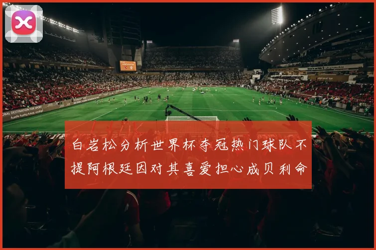 白岩松分析世界杯夺冠热门球队不提阿根廷因对其喜爱担心成贝利命运